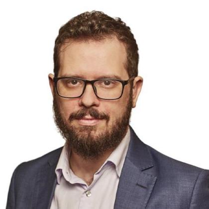 Haroldo Domingos Bertoni Filho